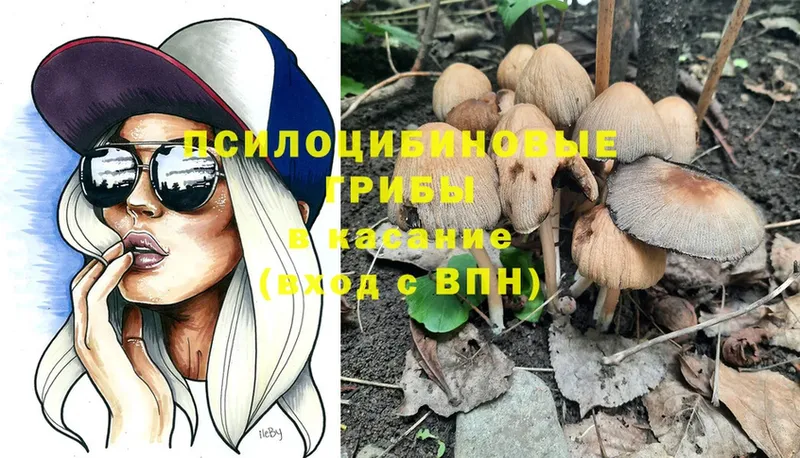 купить закладку  hydra ONION  Галлюциногенные грибы Magic Shrooms  Верхний Тагил 